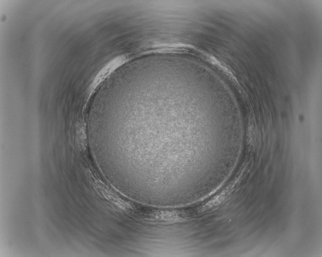 X0000059821362200510241345