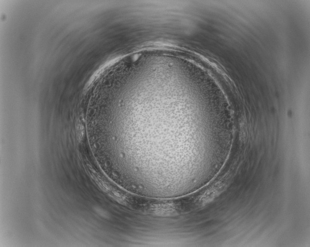 X0000059821363200510241345