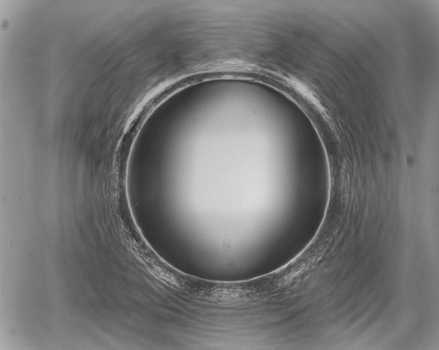 X0000059821364200510241345