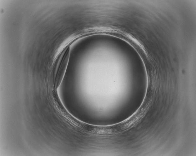 X0000059821365200510241345