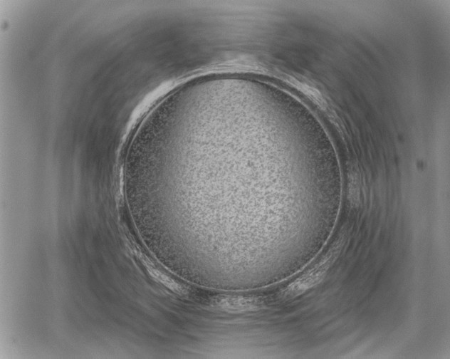 X0000059821366200510241345