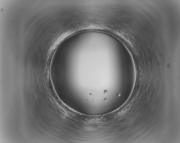 X0000059821367200510241345