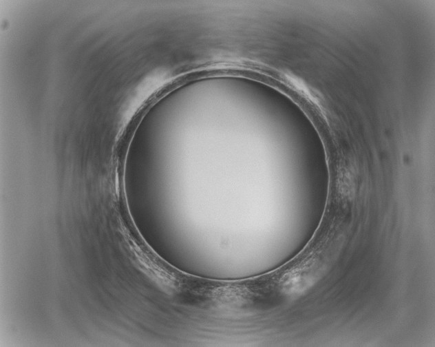 X0000059821368200510241345