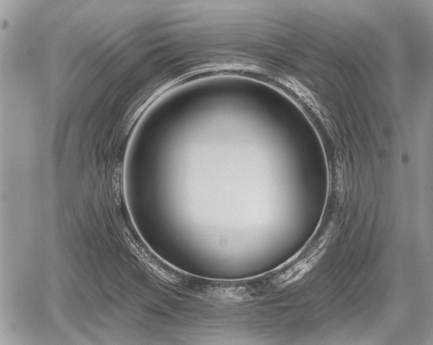 X0000059821369200510241345