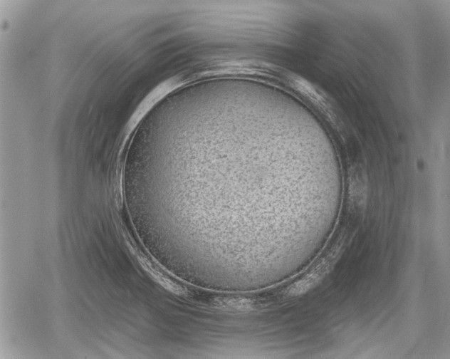 X0000059821370200510241345