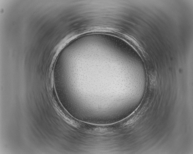 X0000059821371200510241345