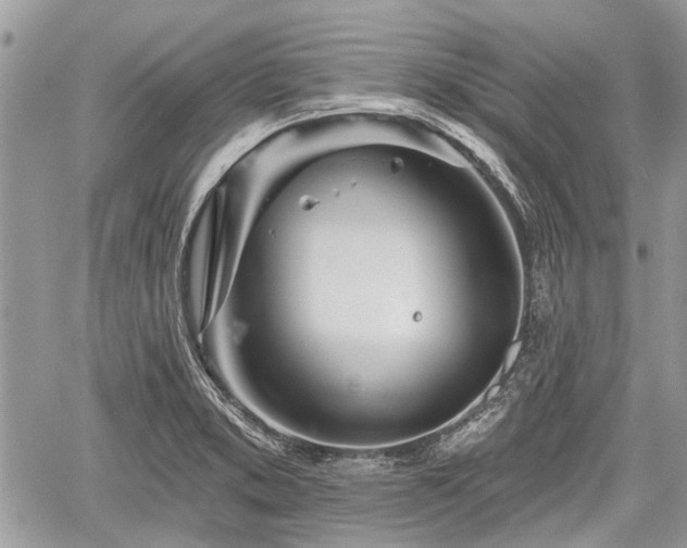 X0000059821373200510241345