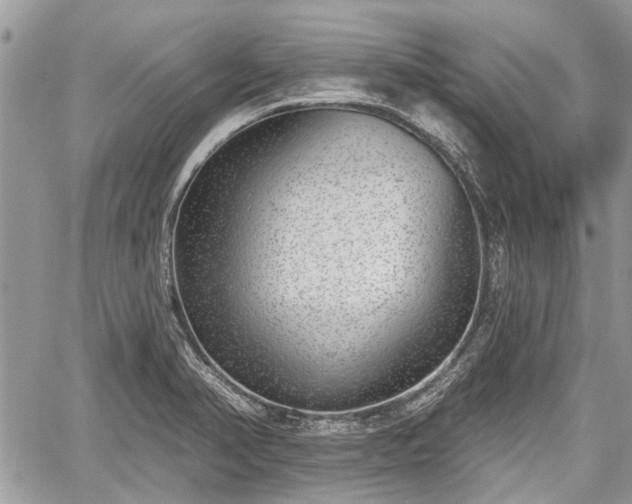 X0000059821374200510241345