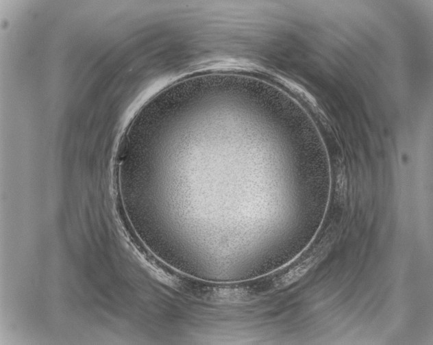 X0000059821375200510241345