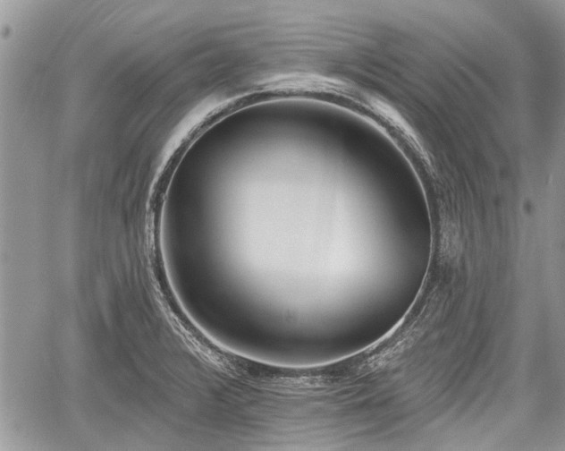 X0000059821376200510241345