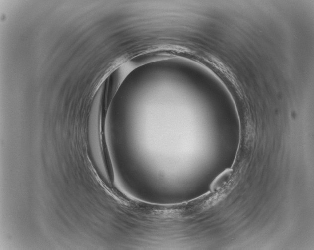 X0000059821377200510241345