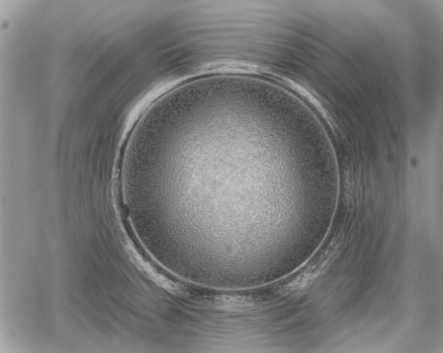 X0000059821379200510241345