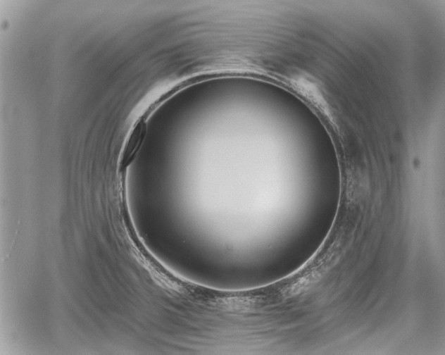 X0000059821380200510241345