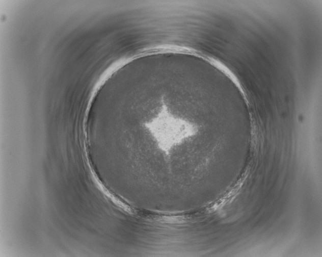 X0000059821381200510241345