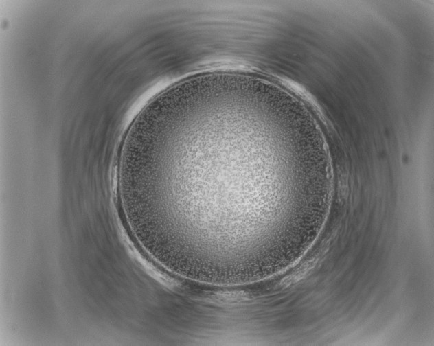 X0000059821383200510241344