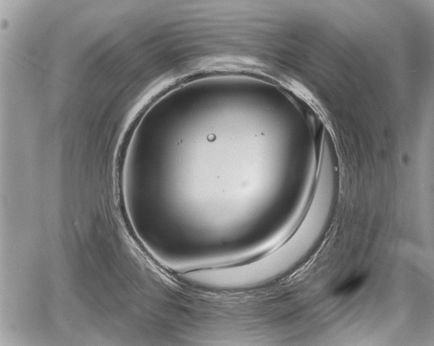 X0000059821384200510241344