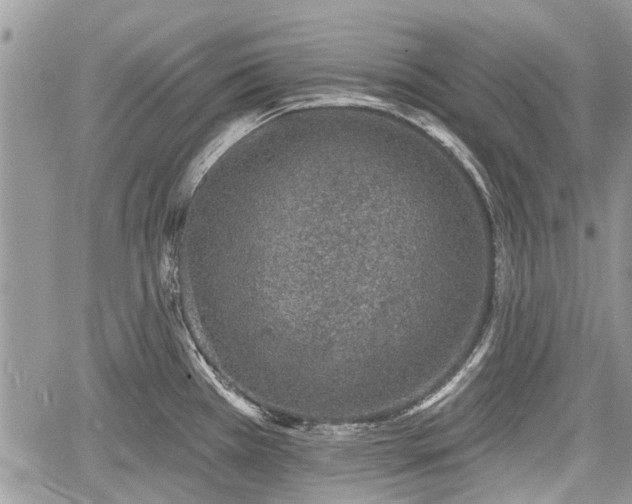 X0000059821385200510241344