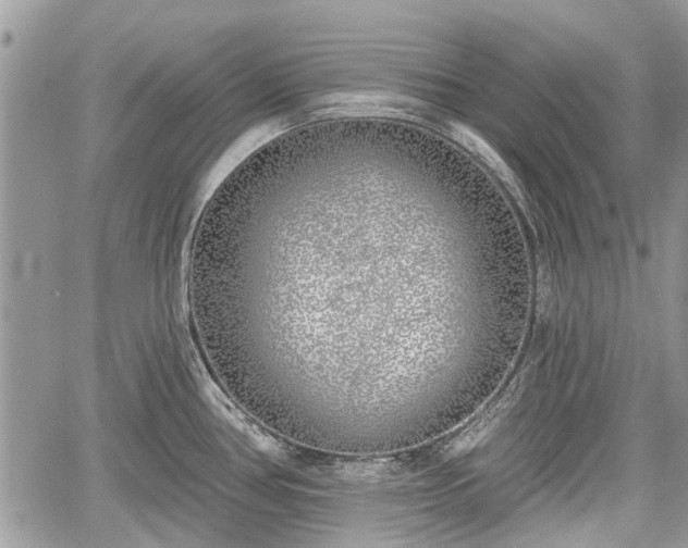 X0000059821386200510241344