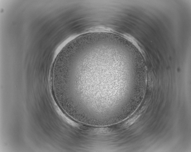 X0000059821387200510241344