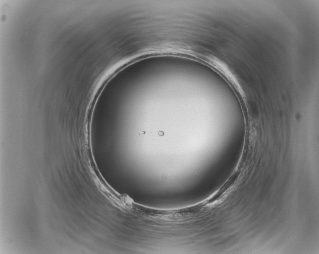 X0000059821388200510241344