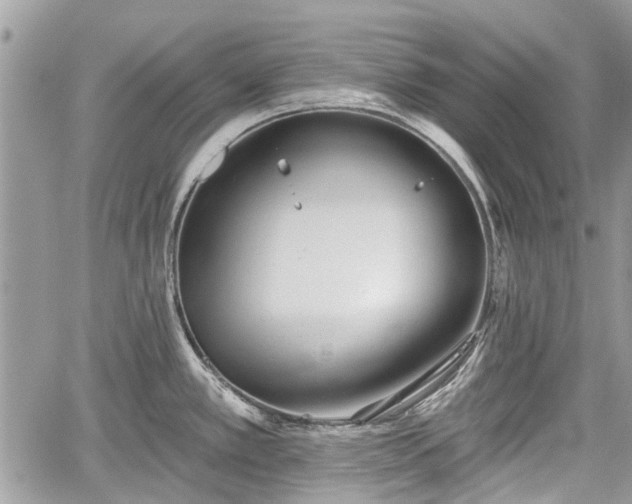 X0000059821389200510241344