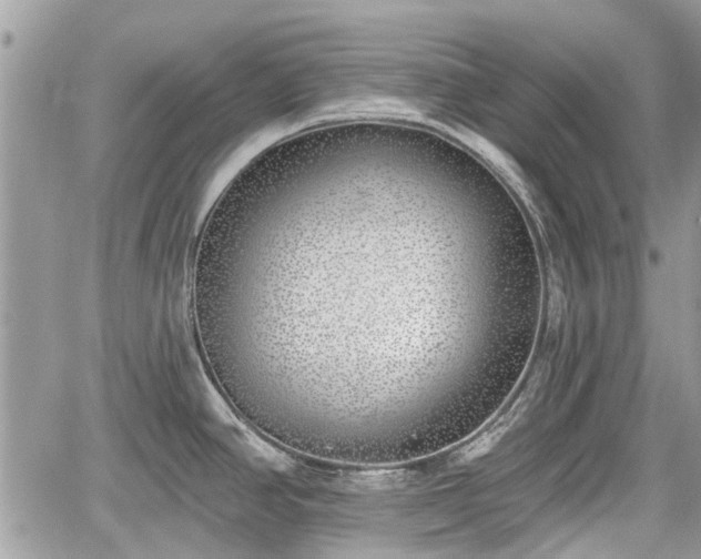 X0000059821390200510241344