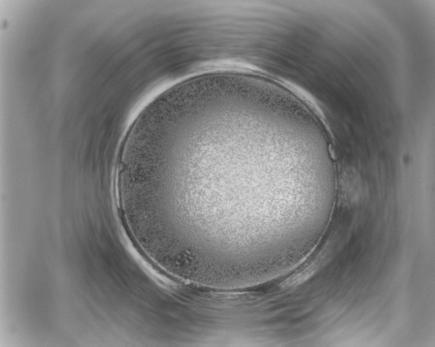 X0000059821391200510241344