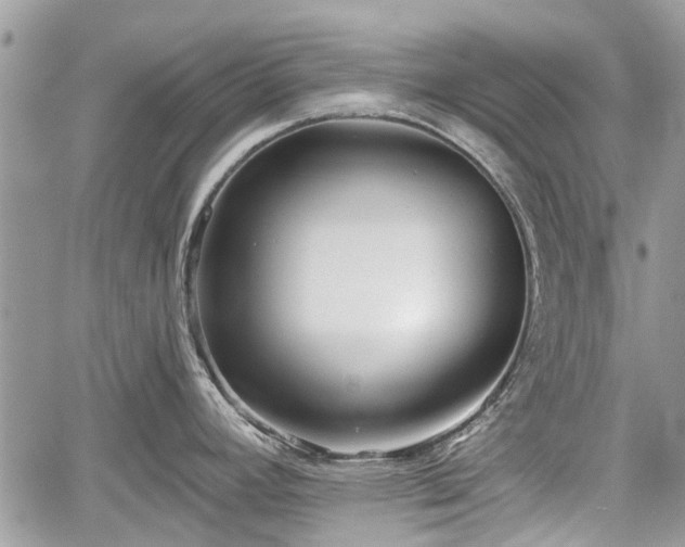 X0000059821392200510241344