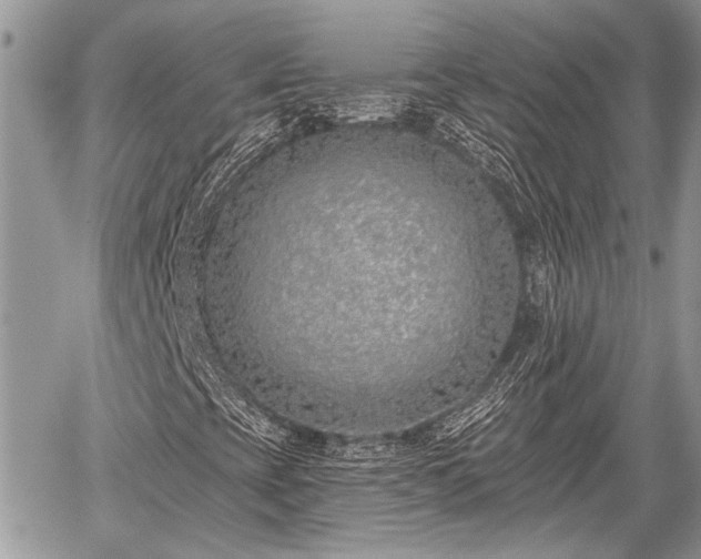 X0000059821393200510241343