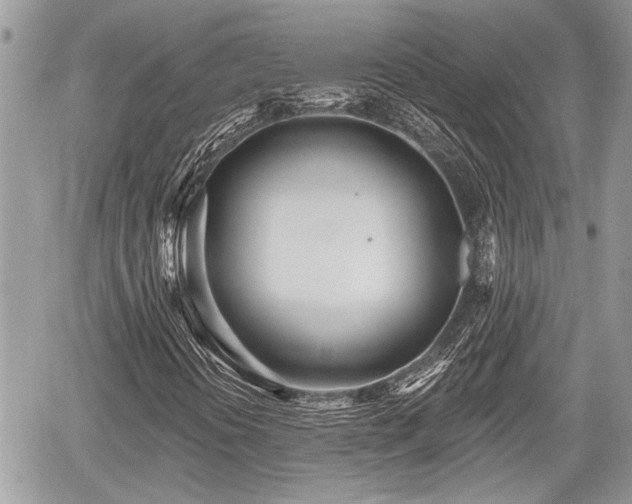 X0000059821394200510241343