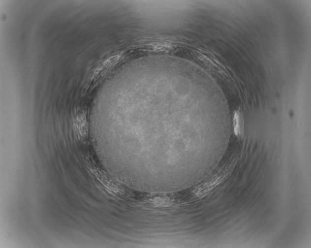 X0000059821395200510241343