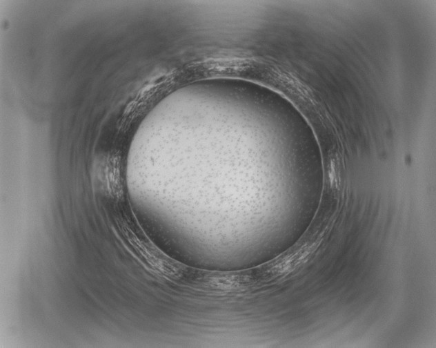 X0000059821396200510241343