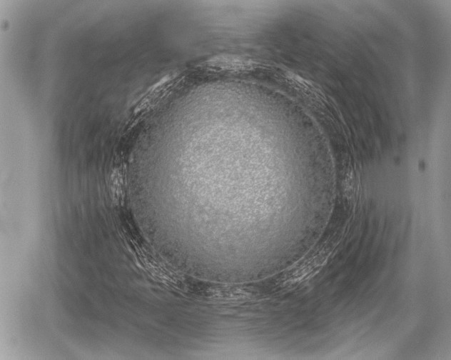 X0000059821397200510241344