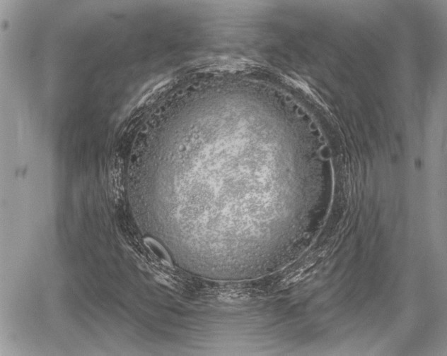 X0000059821399200510241344