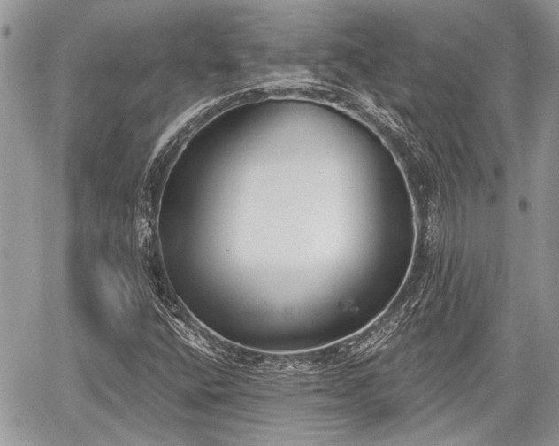 X0000059821400200510241344