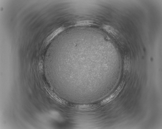 X0000059821401200510241344