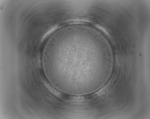 X0000059821403200510241344