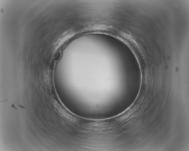 X0000059821404200510241344