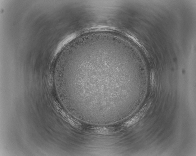 X0000059821405200510241344