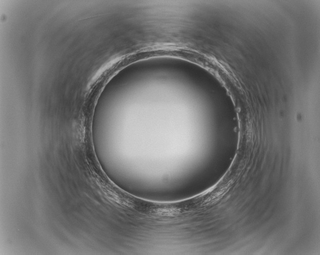 X0000059821406200510241344