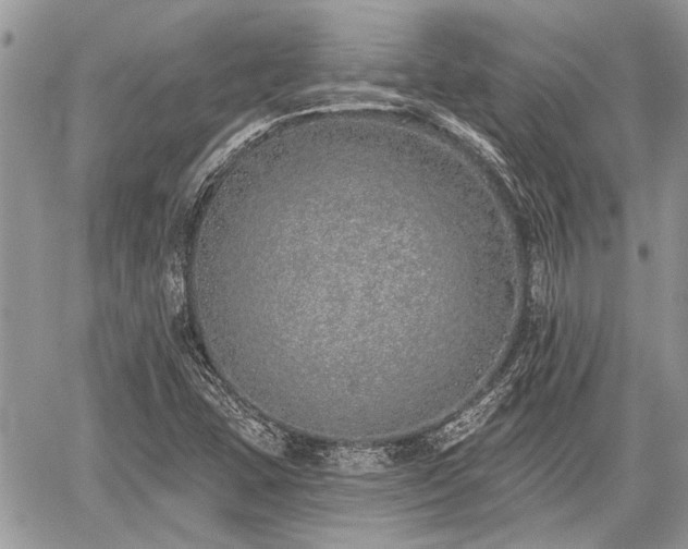 X0000059821407200510241344