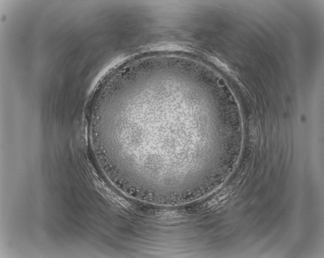 X0000059821408200510241344