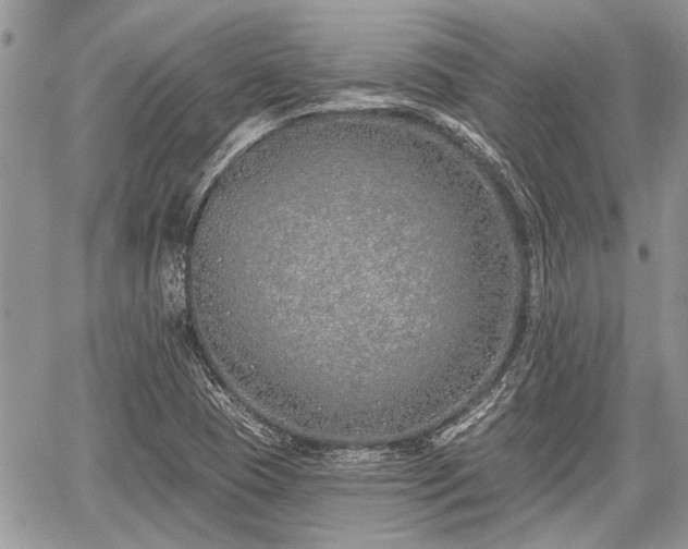 X0000059821409200510241344