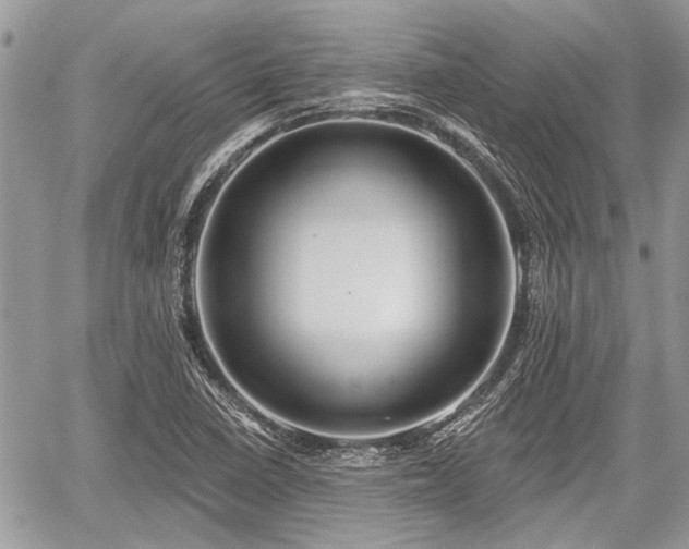 X0000059821410200510241344