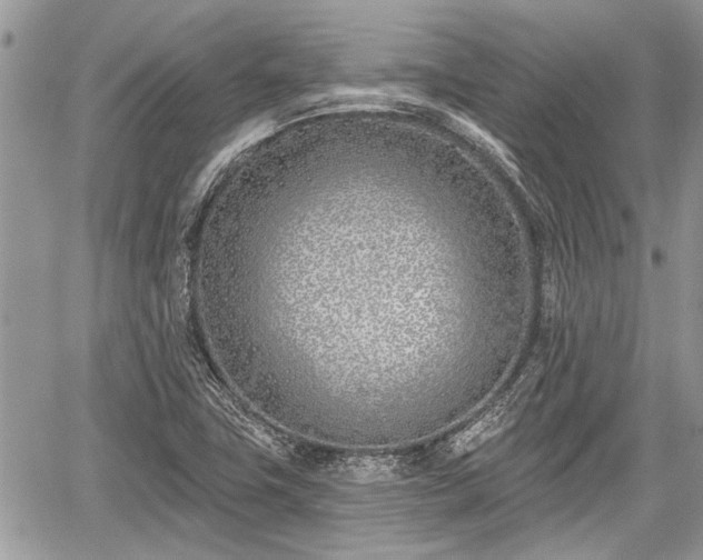 X0000059821411200510241344