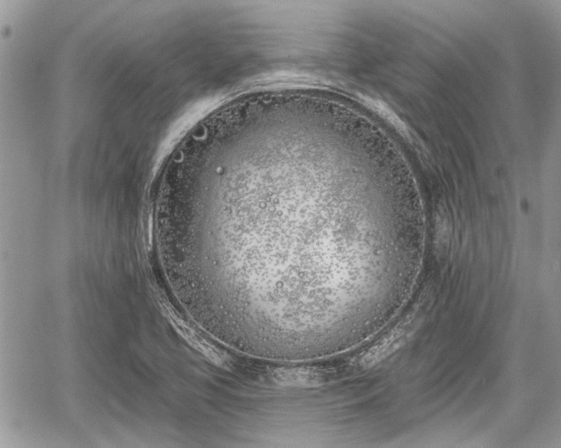 X0000059821413200510241344