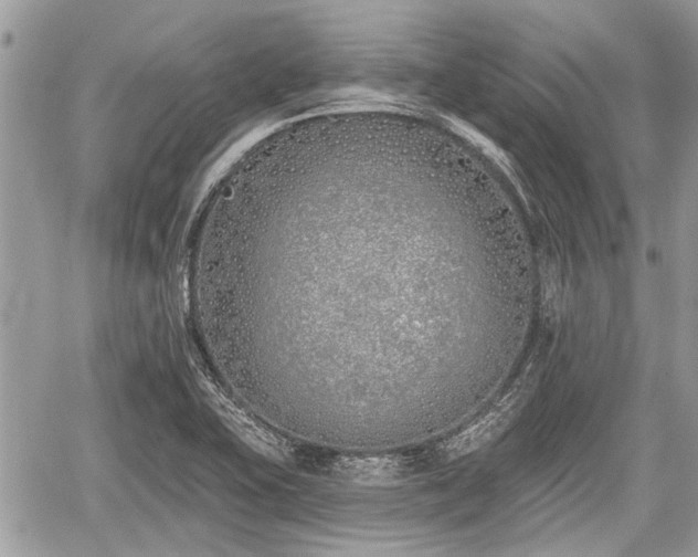 X0000059821415200510241344