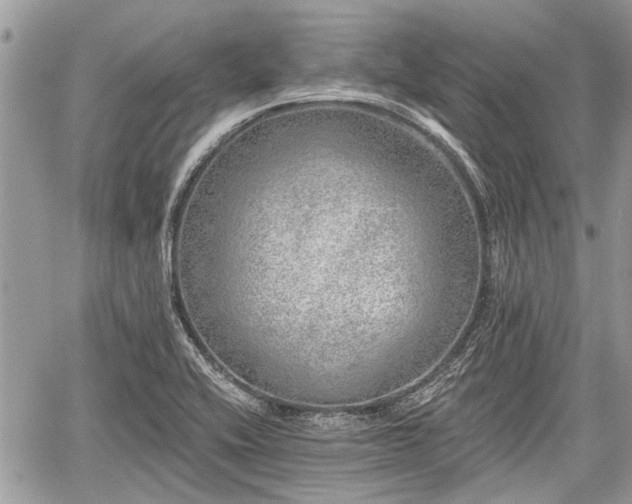 X0000059821416200510241344