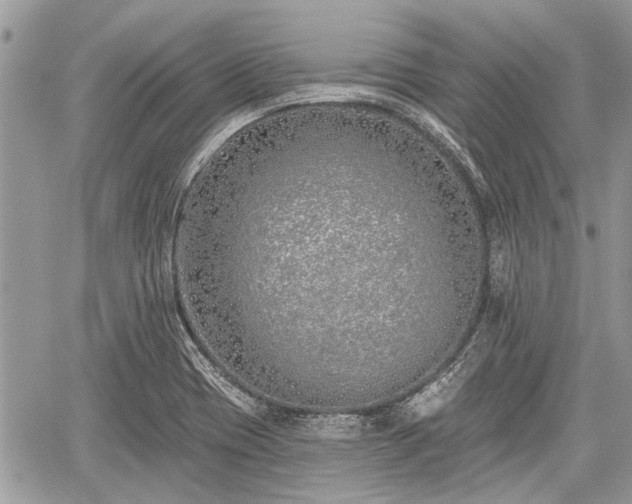 X0000059821417200510241344