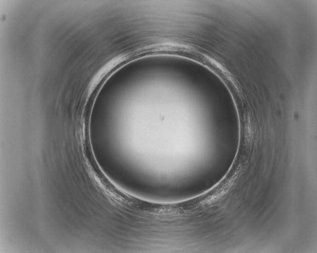 X0000059821418200510241344